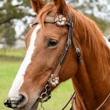DUSTY ROSE BROWBAND HEADSTALL - Country Scene Saddlery and Pet Supplies