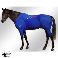Equine Active Suit Original- Blue Printed