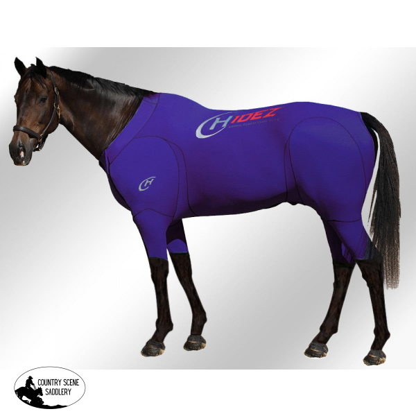 Equine Active Suit Original- Purple Printed