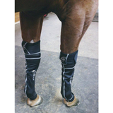 EQUINE ICE COMPRESSION SOCK Black. - Country Scene Saddlery and Pet Supplies