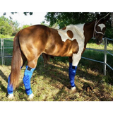 EQUINE ICE COMPRESSION SOCK - BLUE . - Country Scene Saddlery and Pet Supplies