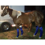 EQUINE ICE COMPRESSION SOCK - BLUE . - Country Scene Saddlery and Pet Supplies