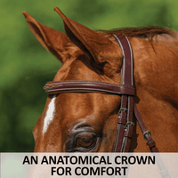 Exceptional Quality Padded Anatomical Hunter Bridle