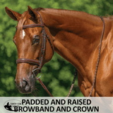 Exceptional Quality Padded Anatomical Hunter Bridle - Country Scene Saddlery and Pet Supplies