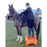 Ferrari Trifecta Saddle Stand 3 in 1 Blue Postage to be quoted,. - Country Scene Saddlery and Pet Supplies