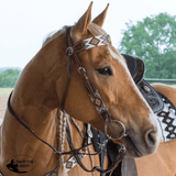 FLAT INFINITY BEADED BROWBAND HEADSTALL - Country Scene Saddlery and Pet Supplies