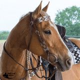 Flat Infinity Beaded Browband Headstall Western Bridles