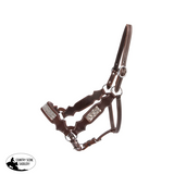 Fort Worth Dakota Leather Halter With Bling Horse Halters