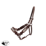 Fort Worth Dakota Leather Halter With Bling - Country Scene Saddlery and Pet Supplies