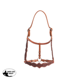 Fort Worth Elu Leather Floral Halter - Country Scene Saddlery and Pet Supplies