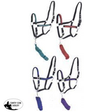 Full Size adjustable nylon halter with 10ft lead. - Country Scene Saddlery and Pet Supplies