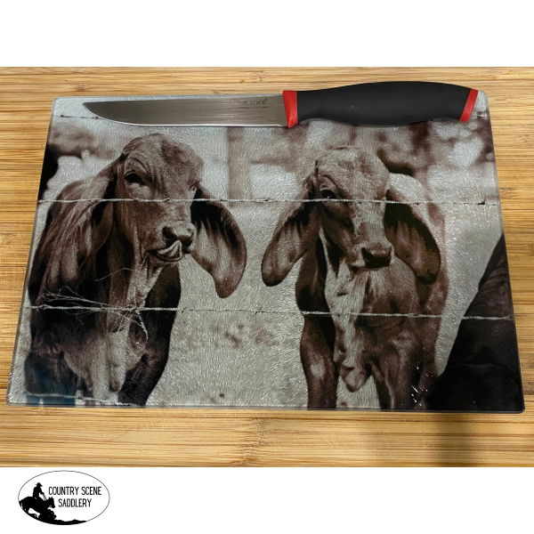 Glass Chopping Board - Black & White Cows Gift Items