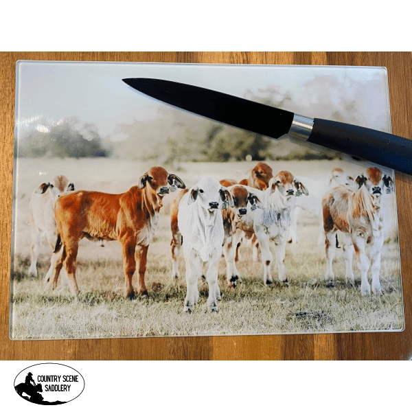 Glass Chopping Board - Brahman Calves Gift Items