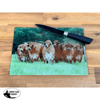 Glass Chopping Board - Brahman Herd Gift Items