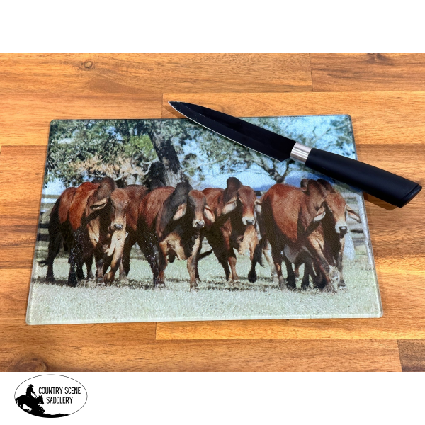 Glass Chopping Board - Red Brahman Bulls Gift Items