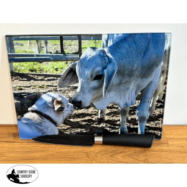 Glass Chopping Board - Red Cattle Dog Gift Items