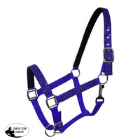 New! Glitter Nylon Halter . Pony / Blue Showman Halters