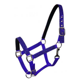New! Glitter Nylon Halter . Pony / Blue Showman Halters