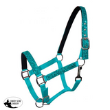 New! Glitter Nylon Halter . Pony / Teal Showman Halters