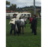Grey False Tails - Country Scene Saddlery and Pet Supplies