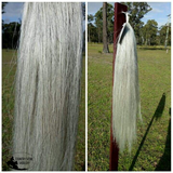 New! Grey False Tails Posted From. Horse