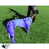 GREYHOUND ICE COMPRESSION SUIT - Country Scene Saddlery and Pet Supplies
