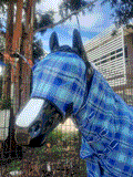 GTL FLYMASK-PLAIN - Country Scene Saddlery and Pet Supplies