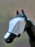 GTL FLYMASK-PLAIN - Country Scene Saddlery and Pet Supplies