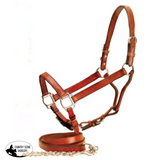 Halter Leather Chestnut Western Show Halters