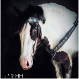 Heavy Horse Breeds Custom Tack Sets. Bridles