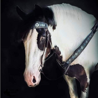 Heavy Horse Custom Made Available Bridles And Breastplates