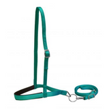 Heavy leather 1.5" nose band with removeable 0.75" tie down. - Country Scene Saddlery and Pet Supplies