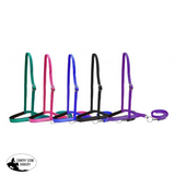 Heavy Leather 1.5 Nose Band With Removeable 0.75 Tie Down.