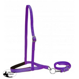 Heavy Leather 1.5 Nose Band With Removeable 0.75 Tie Down.