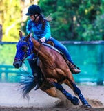 CSS Doc's Custom Hood - Country Scene Saddlery and Pet Supplies