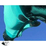 Hidez Hood FLORAL MANDELA - Country Scene Saddlery and Pet Supplies