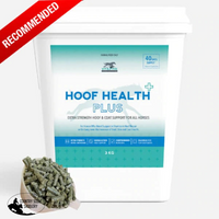 Hoof Health Plus - Country Scene Saddlery and Pet Supplies