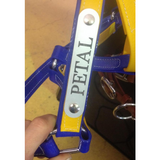 Horse Halter Nameplate (HAMAG BRAND) - Country Scene Saddlery and Pet Supplies