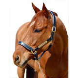 Horse Halter Nameplate (HAMAG BRAND) - Country Scene Saddlery and Pet Supplies