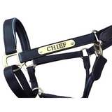 Horse Halter Nameplate (HAMAG BRAND) - Country Scene Saddlery and Pet Supplies