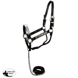 Horse size show halter with matching lead. - Country Scene Saddlery and Pet Supplies