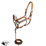 Horse size show halter with matching lead. - Country Scene Saddlery and Pet Supplies