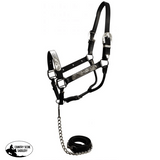 Horse size show halter with matching lead. - Country Scene Saddlery and Pet Supplies