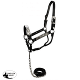 Horse Size Show Halter With Matching Lead. Mini Show Halters