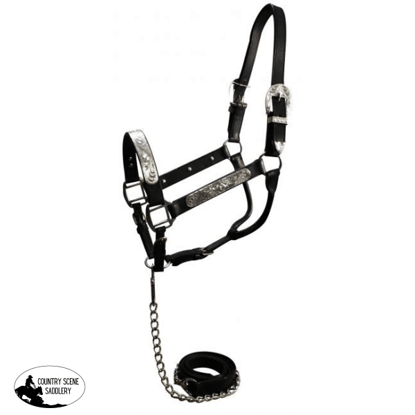 Horse Size Show Halter With Matching Lead. Mini Show Halters