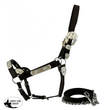 New! Average Horse Size Halter Posted ~