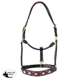 Jeremy & Lord Leather Polo Halter Black Horse Wear » Halters Bronc
