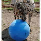 JOLLY MEGA BALL - Country Scene Saddlery and Pet Supplies