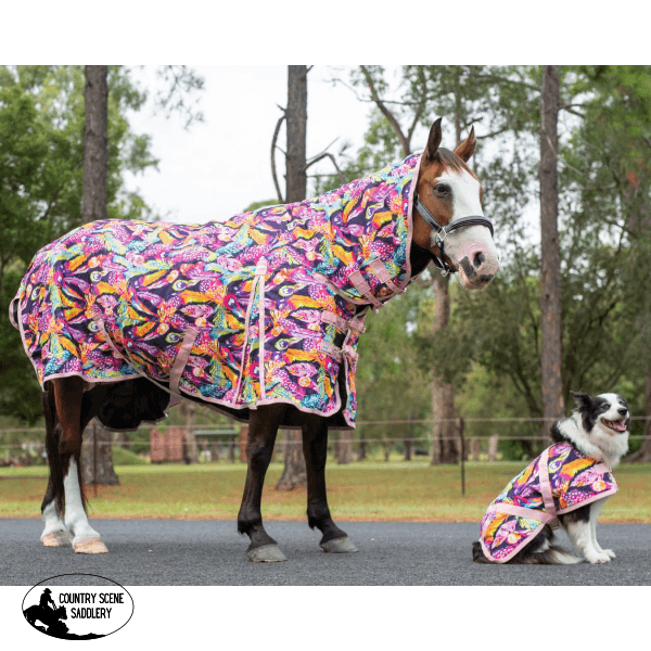 Kozy 1200D Nylon Horse Rug Combo (200G Fill) - Feathers 46