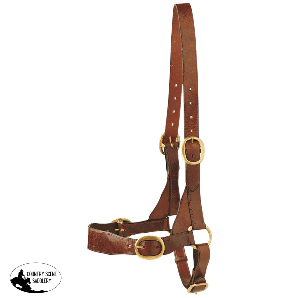 Leather Bull Halter - Country Scene Saddlery and Pet Supplies